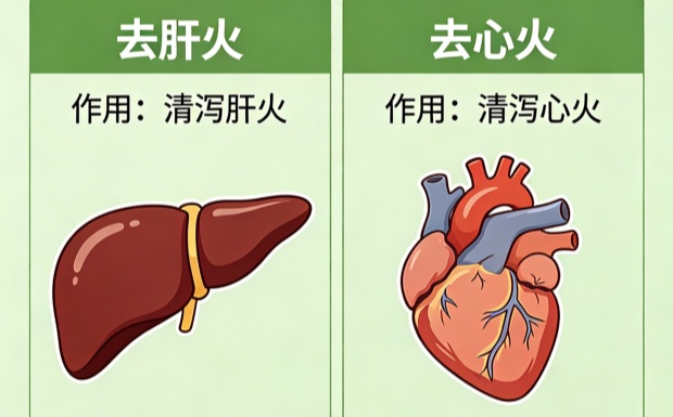 玳玳花茶去肝火还是心火