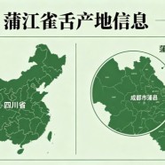 蒲江雀舌产地是哪里