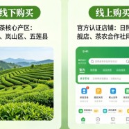 日照绿茶哪里买正宗
