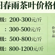 武阳春雨最贵多少钱一斤