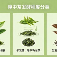 隆中茶的发酵程度分类