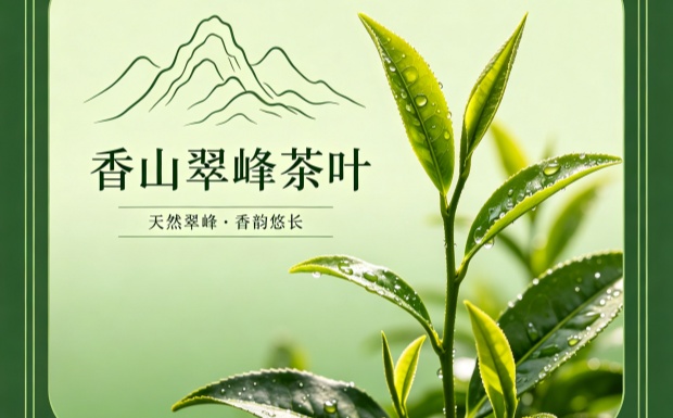 香山翠峰茶叶介绍_副本.jpg 香山翠峰茶叶介绍_副本.jpg
