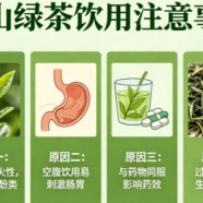 崂山绿茶为何不建议喝