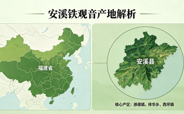 安溪铁观音哪里产的