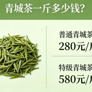 青城茶一斤多少钱