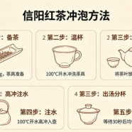 信阳红茶的冲泡方法