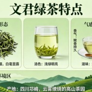 文君绿茶的特点是什么