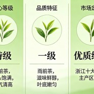 越乡龙井是什么档次