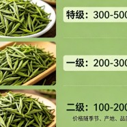 湄潭翠芽多少钱一斤