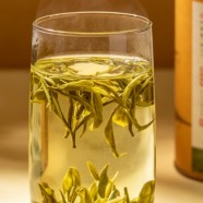 英山云雾茶怎么样