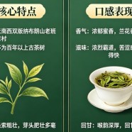 老班章茶的特点和口感