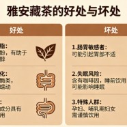 雅安藏茶的好处和坏处