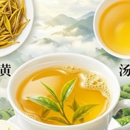 平阳黄汤属于什么档次