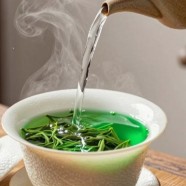 绿宝石茶怎么泡