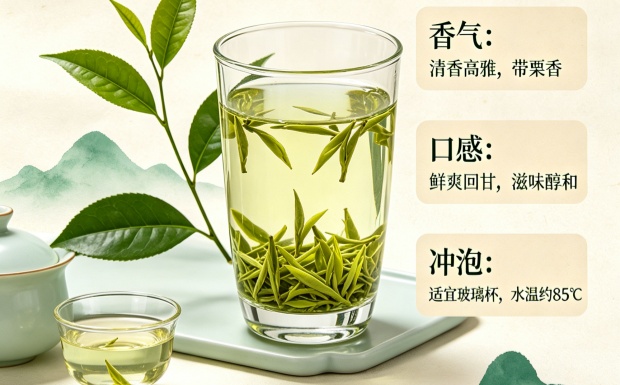 青城雪芽的特点有哪些