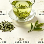 水西翠柏绿茶的特点是什么