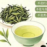 阳羡雪芽是红茶还是绿茶