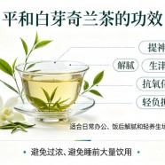平和白芽奇兰茶的功效