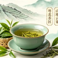 英德绿茶产地是哪里