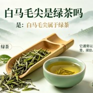 白马毛尖是绿茶吗