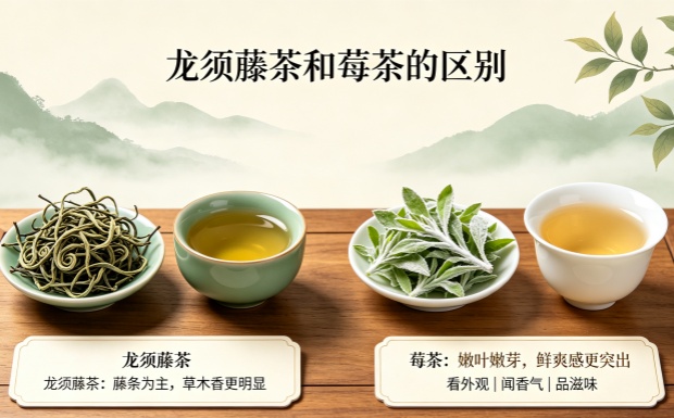 龙须藤茶和莓茶的区别
