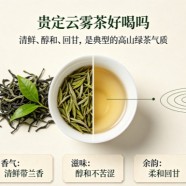 贵定云雾茶好喝吗