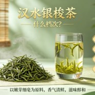汉水银梭茶什么档次