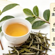 贡眉有什么功效