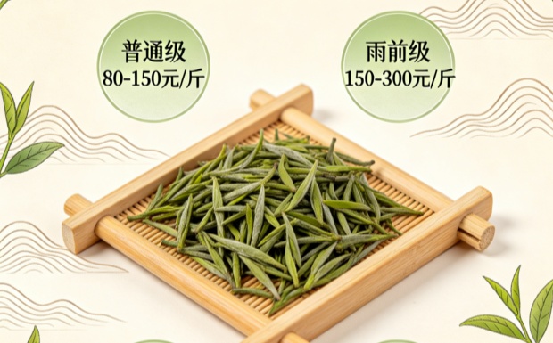 信阳毛尖茶叶的价格
