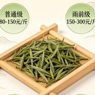 信阳毛尖茶叶的价格