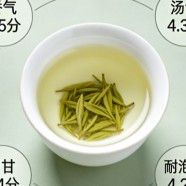 双桥毛尖什么档次