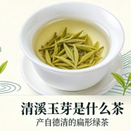 清溪玉芽是什么茶