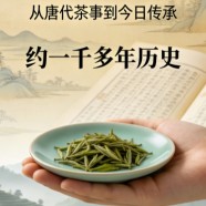 北港毛尖至今多少年