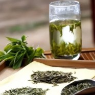 蒙顶茶特点有哪些