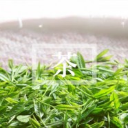 **老班章 vs 新班章区别**，一字之差差在哪？