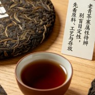 老青茶是寒性的吗