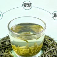 黄山毛峰保质期几年