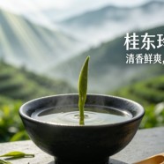 桂东玲珑茶味道怎么样