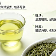 苍山雪绿的外观是怎样