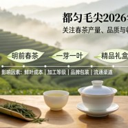 都匀毛尖2026年价格