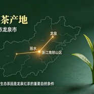 龙泉红茶的产地在哪里