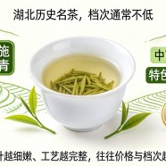 恩施玉露档次高吗