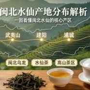 闽北水仙产地分布解析