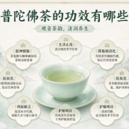 普陀佛茶的功效有哪些
