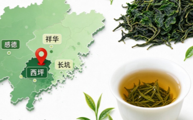 安溪铁观音的产地是哪里