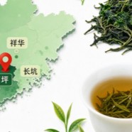 安溪铁观音的产地是哪里