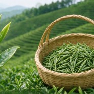 汉中仙毫茶叶的价格多少