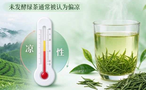 日照绿茶是寒性的吗