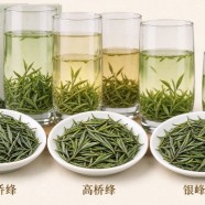 高桥银峰属于高档茶吗